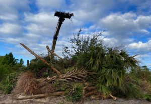 Picture of a claw excavator piling trees and shrubs from a land clearing project